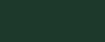 Verde RAL 6009 opaco